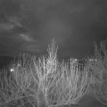 Webcam_20210130-213000