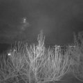 Webcam_20210130-214500