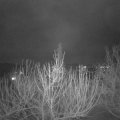 Webcam_20210130-220000