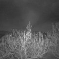 Webcam_20210131-054500