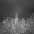 Webcam_20210131-181500