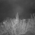 Webcam_20210131-193000