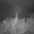 Webcam_20210131-194500