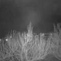 Webcam_20210131-200000
