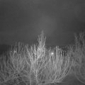 Webcam_20210201-053000