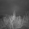 Webcam_20210201-070000