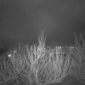 Webcam_20210201-181500