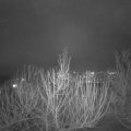 Webcam_20210201-183000