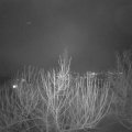 Webcam_20210201-200000