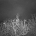 Webcam_20210201-201500