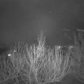 Webcam_20210201-203000