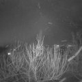 Webcam_20210201-204500