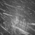 Webcam_20210201-210000