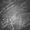 Webcam_20210201-211500