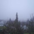 Webcam_20210202-161500