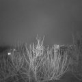 Webcam_20210202-180000