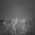 Webcam_20210202-181500