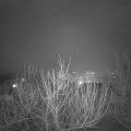 Webcam_20210202-184500