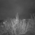 Webcam_20210202-191500