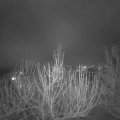 Webcam_20210202-201500