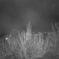 Webcam_20210202-210000