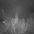 Webcam_20210202-220000