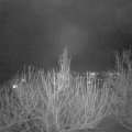 Webcam_20210203-203000