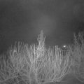 Webcam_20210206-050000
