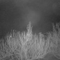 Webcam_20210206-051500