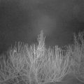Webcam_20210206-054500