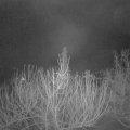 Webcam_20210206-061500