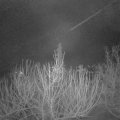 Webcam_20210206-063000