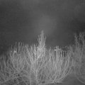 Webcam_20210206-064500