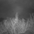 Webcam_20210206-070000