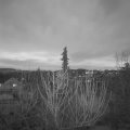 Webcam_20210206-174500
