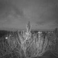 Webcam_20210206-180000