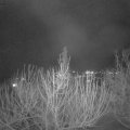 Webcam_20210206-190000