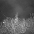 Webcam_20210206-191500