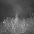 Webcam_20210206-210000