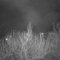 Webcam_20210206-213000
