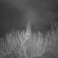 Webcam_20210207-050000
