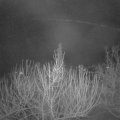 Webcam_20210207-051500