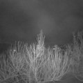 Webcam_20210207-070000
