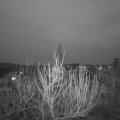 Webcam_20210207-180000