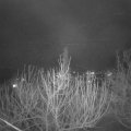 Webcam_20210207-181500