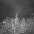 Webcam_20210207-184500