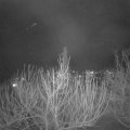 Webcam_20210207-191500