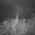 Webcam_20210207-193000