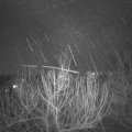 Webcam_20210207-201500