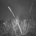 Webcam_20210207-211500
